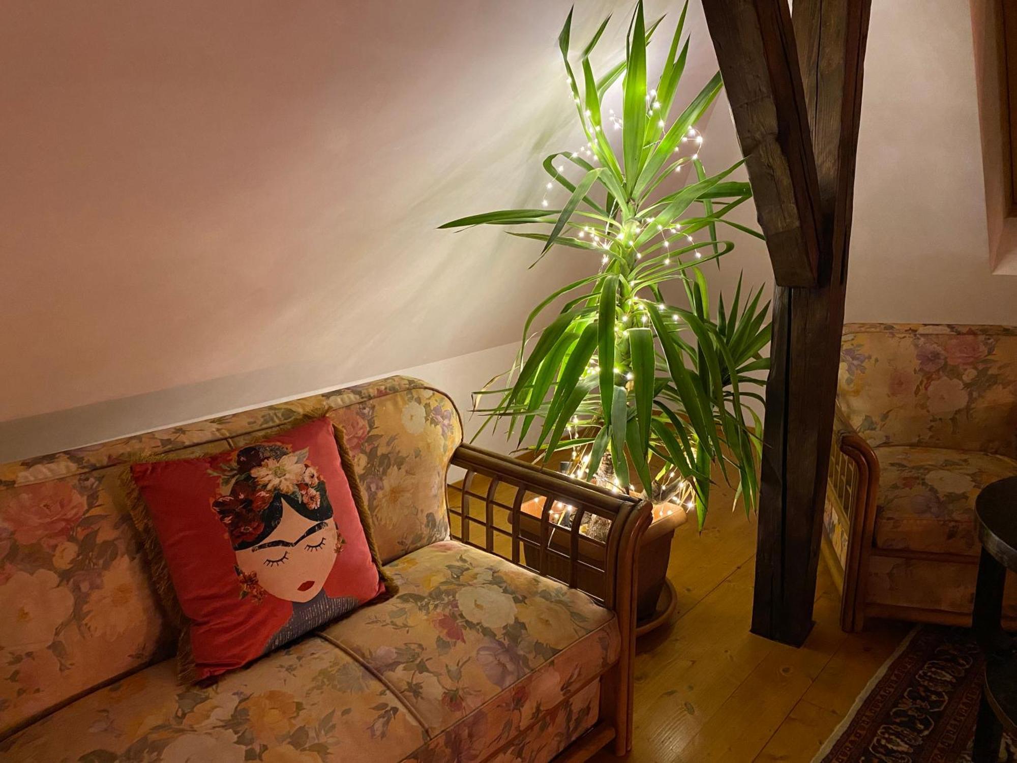 בראשוב Rose'S Oldtown Apartment מראה חיצוני תמונה