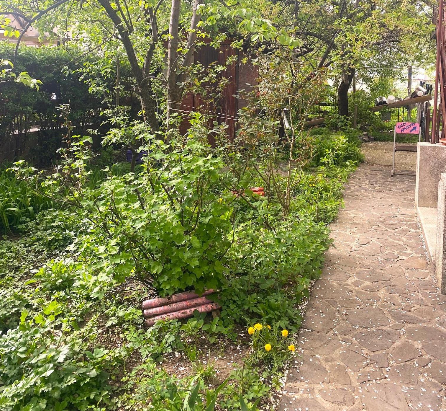 בראשוב Rose'S Oldtown Apartment מראה חיצוני תמונה