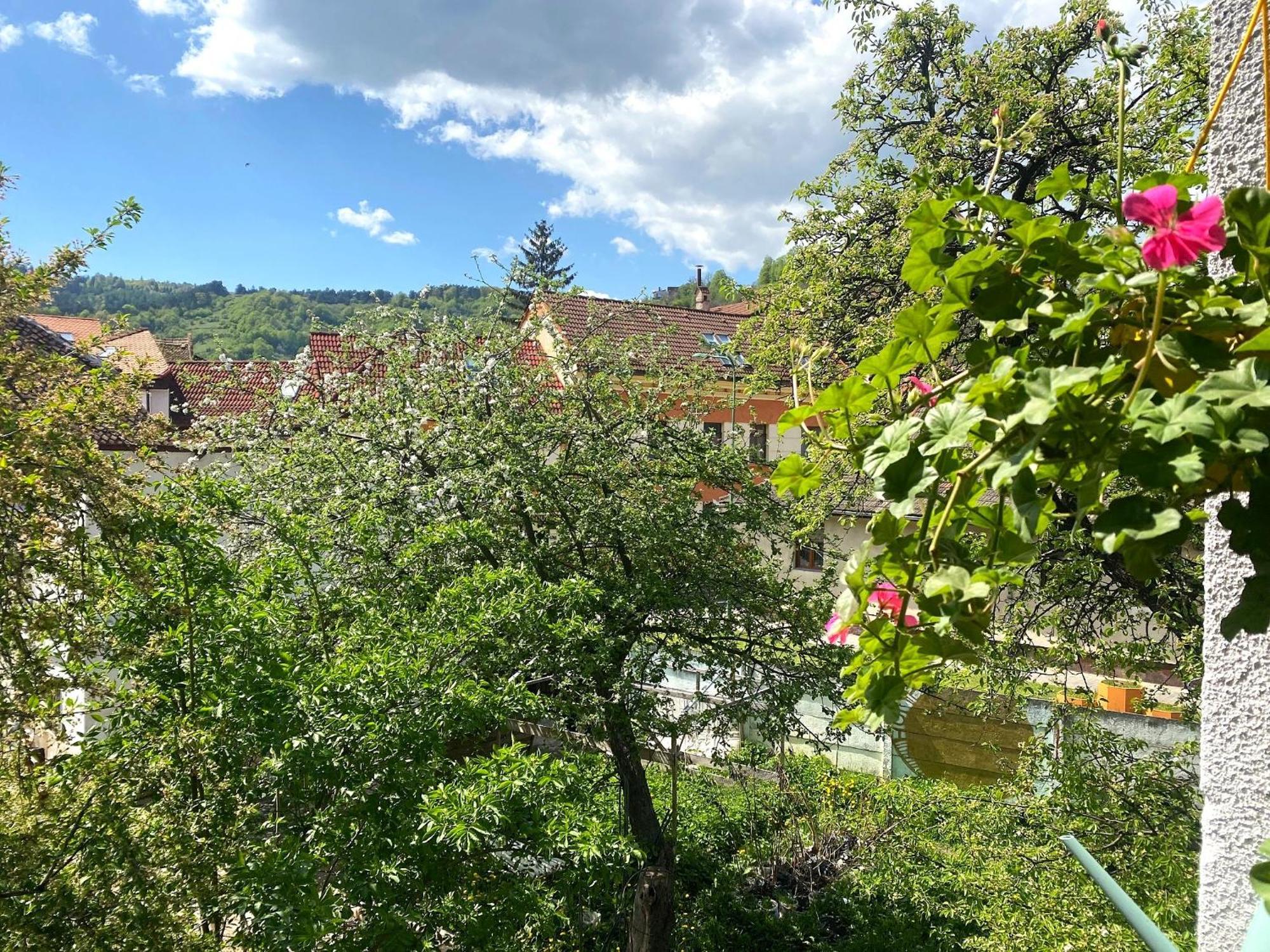 בראשוב Rose'S Oldtown Apartment מראה חיצוני תמונה